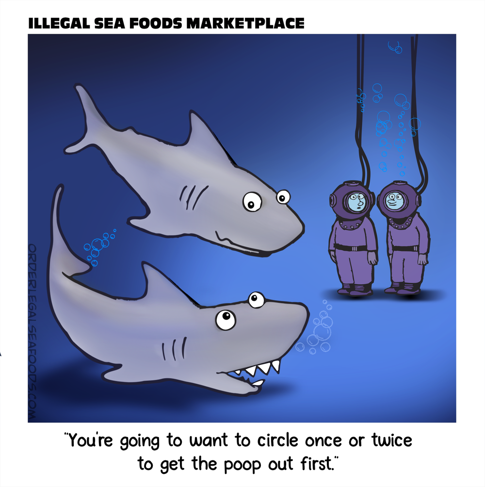 SharkCircle.png.webp