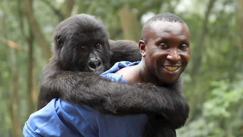 Photo: Virunga Movie