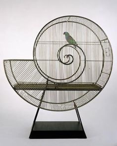 f7f2fa3bf144cf72c6c2e2fec2f2451a--fibonacci-spiral-for-the-birds.jpg