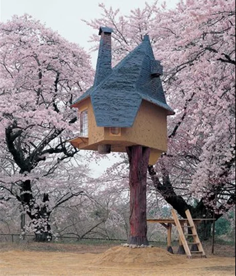 chashitsu-tetsu-2005.jpg