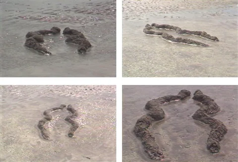 ana-mendieta-ochún.jpg
