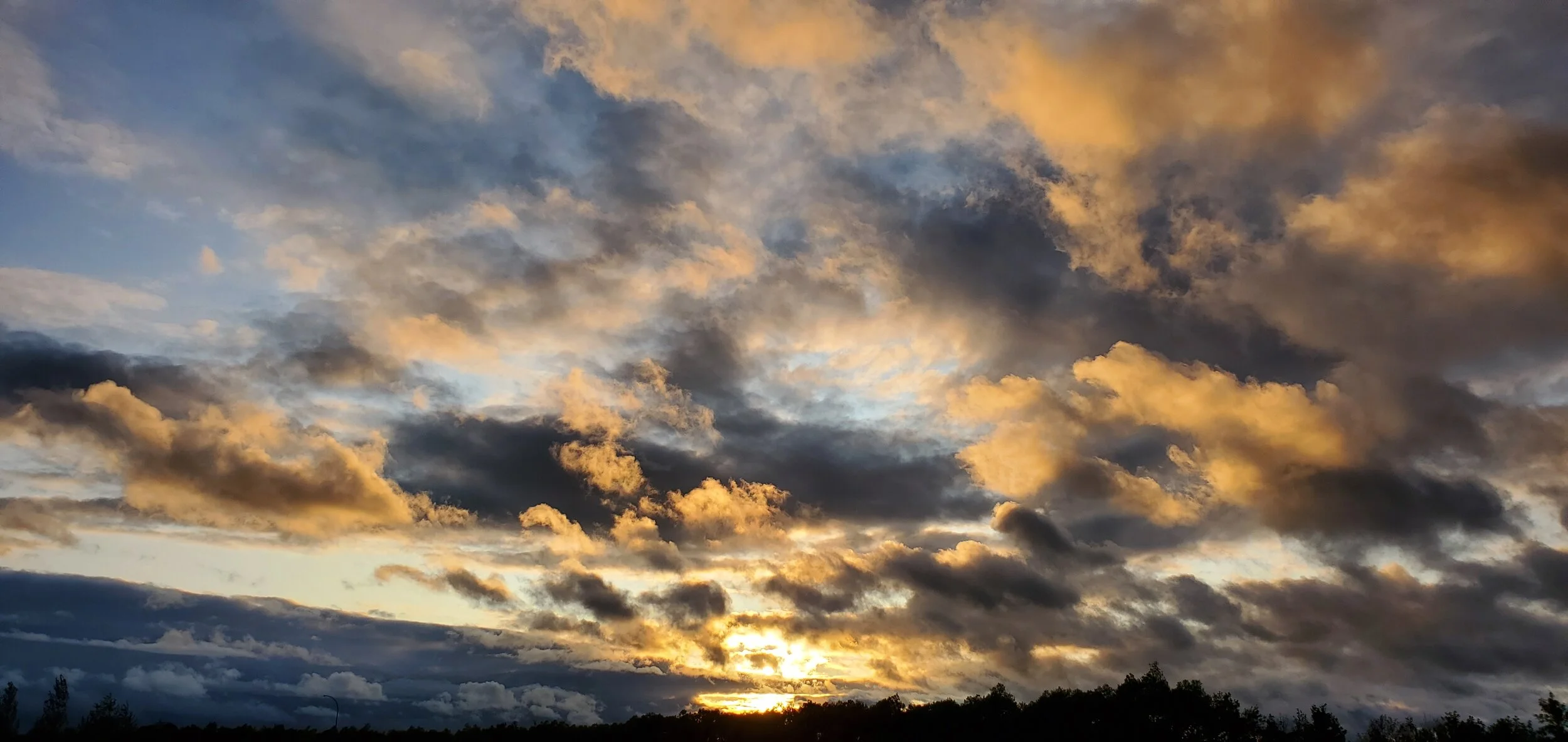 20190828_192606.jpg