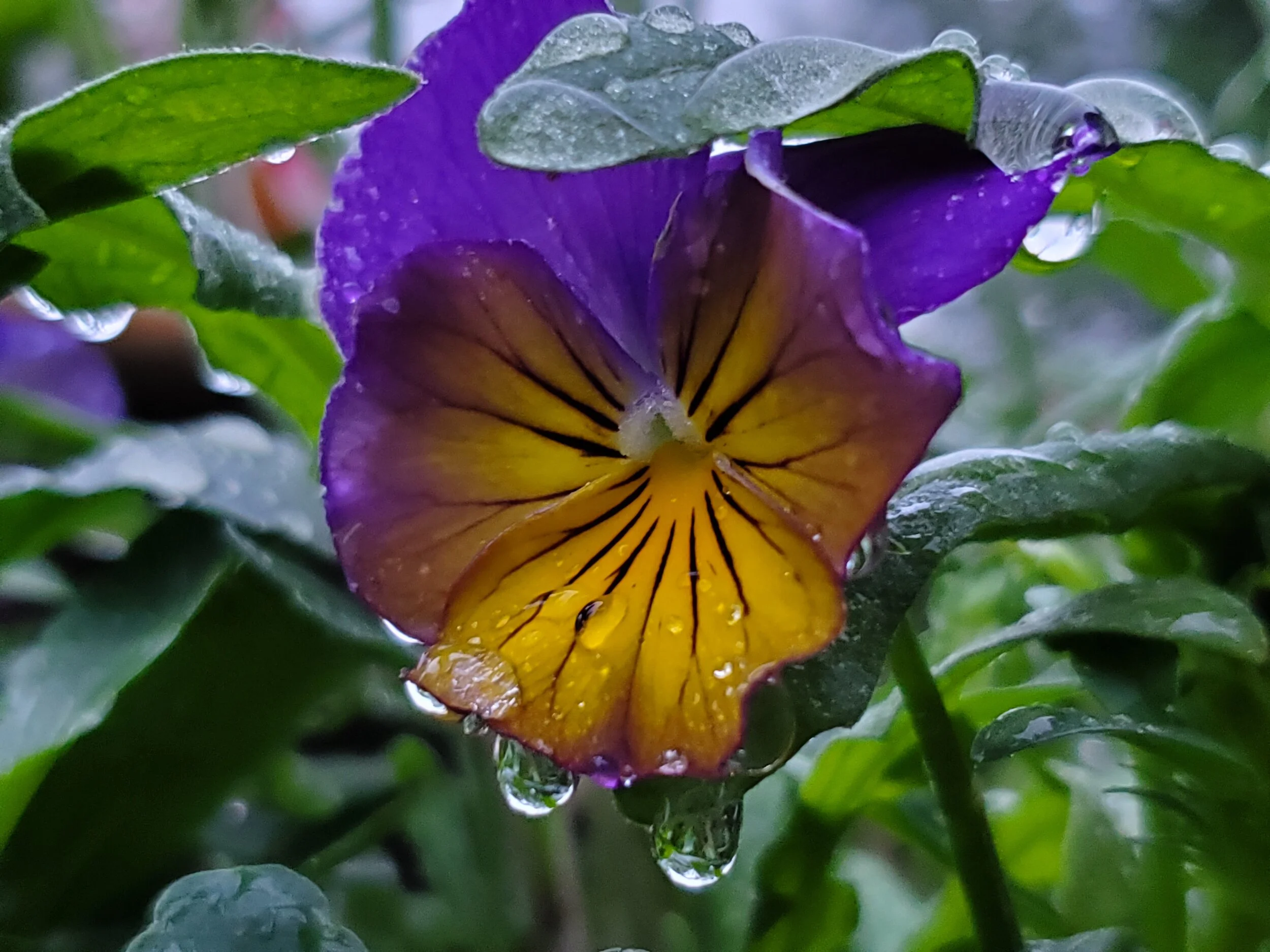 20190615_211502.jpg
