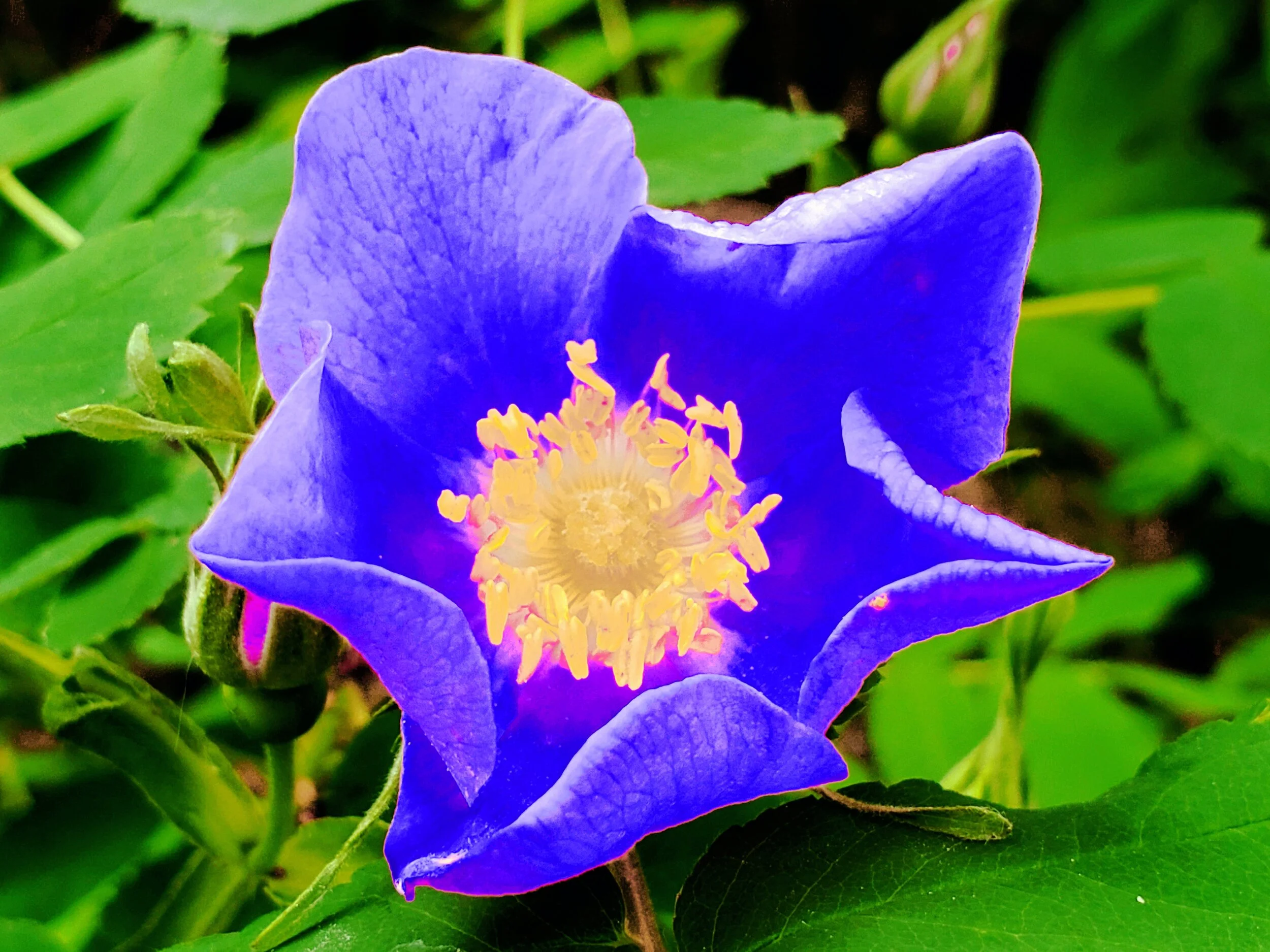 20190622_163909.jpg