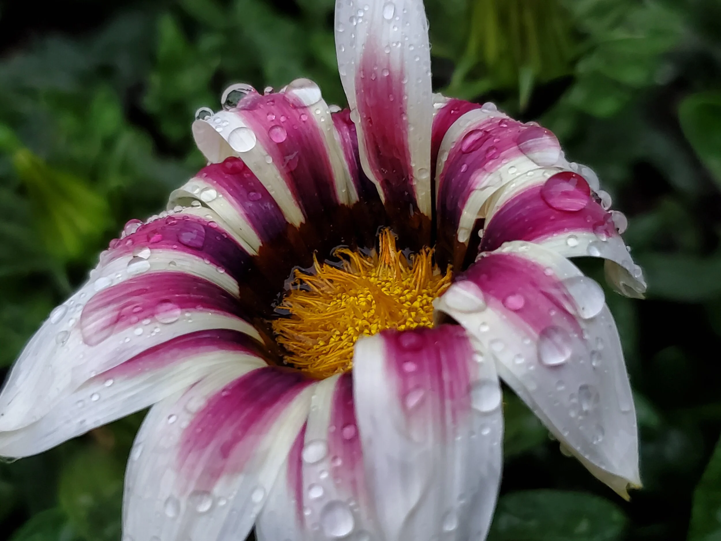 20190615_211240.jpg