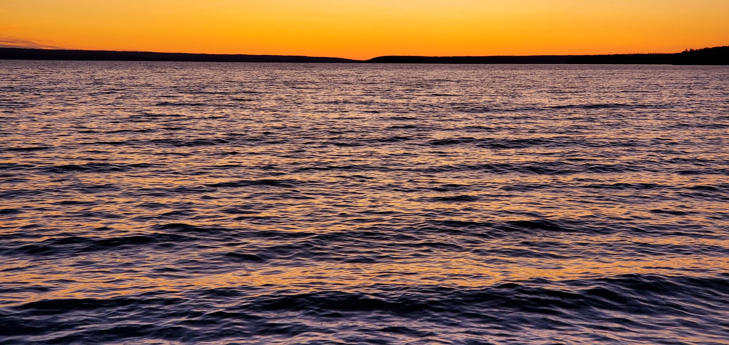20190829_201930.jpg