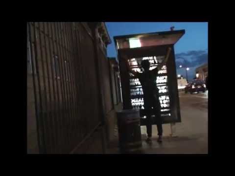 Liberated Landscapes - Anti Advertising Campaign 2012