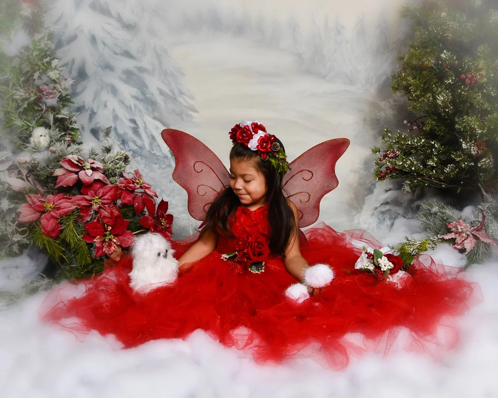 Winter Fairies Limited Edition Portraits Winter Fairies Limited Edition Portraits