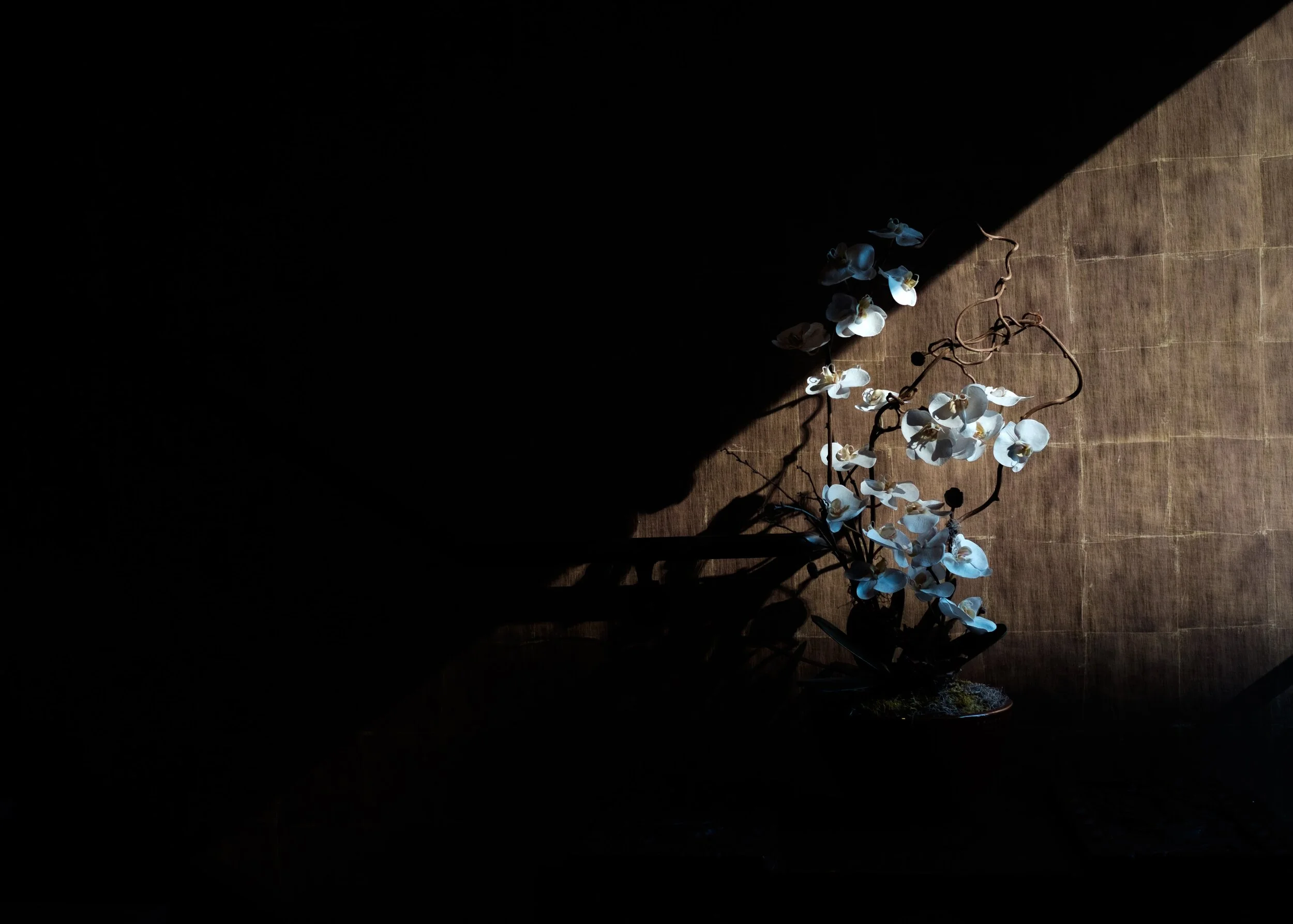 Living Life in the Shadow of Death