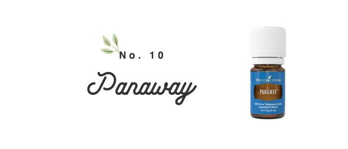 Panaway101.jpg