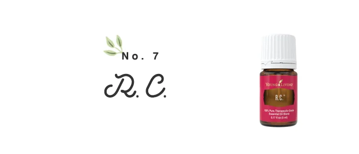R.C.101.jpg