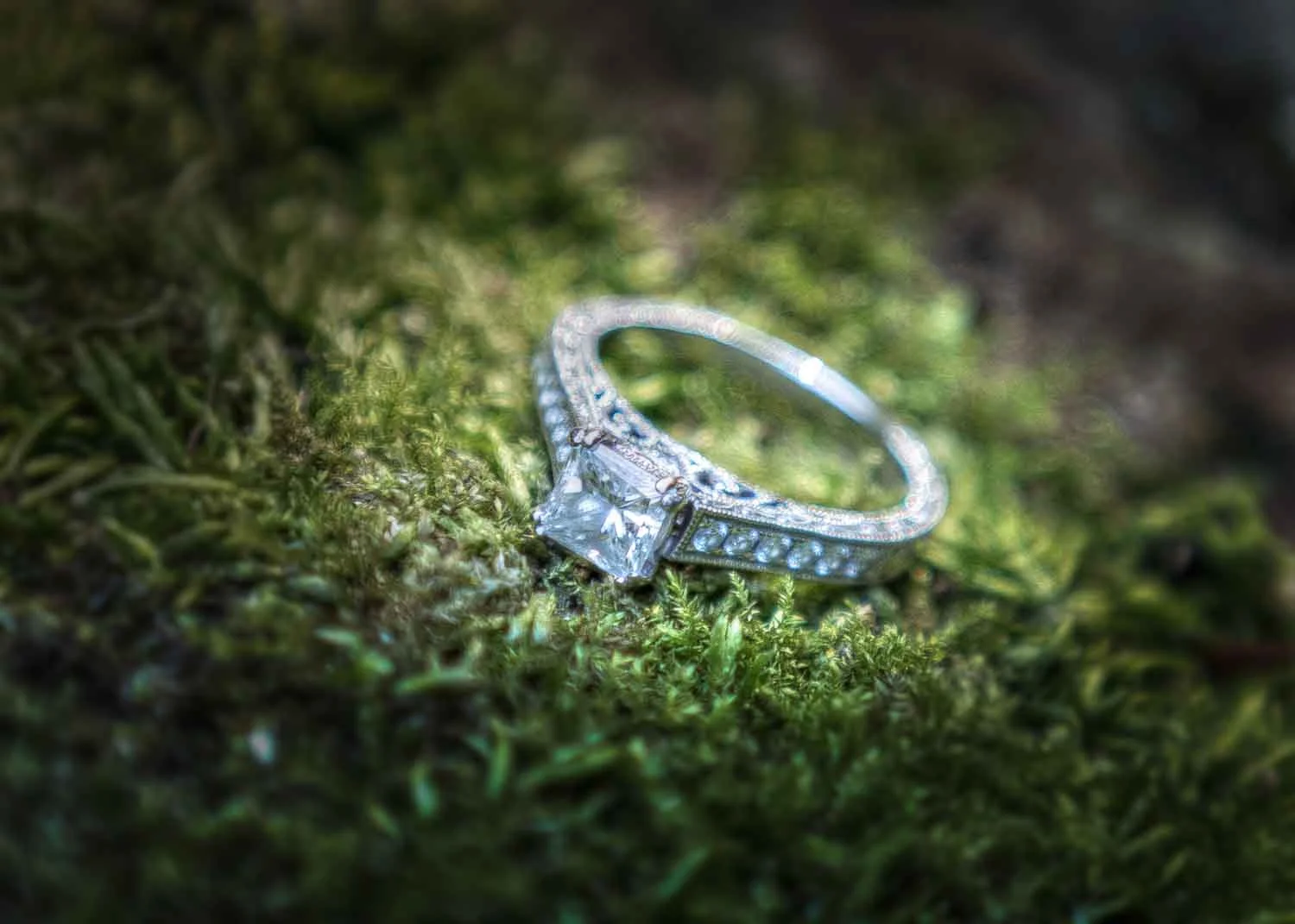 wedding-photography-raleigh-nc-1007.jpg