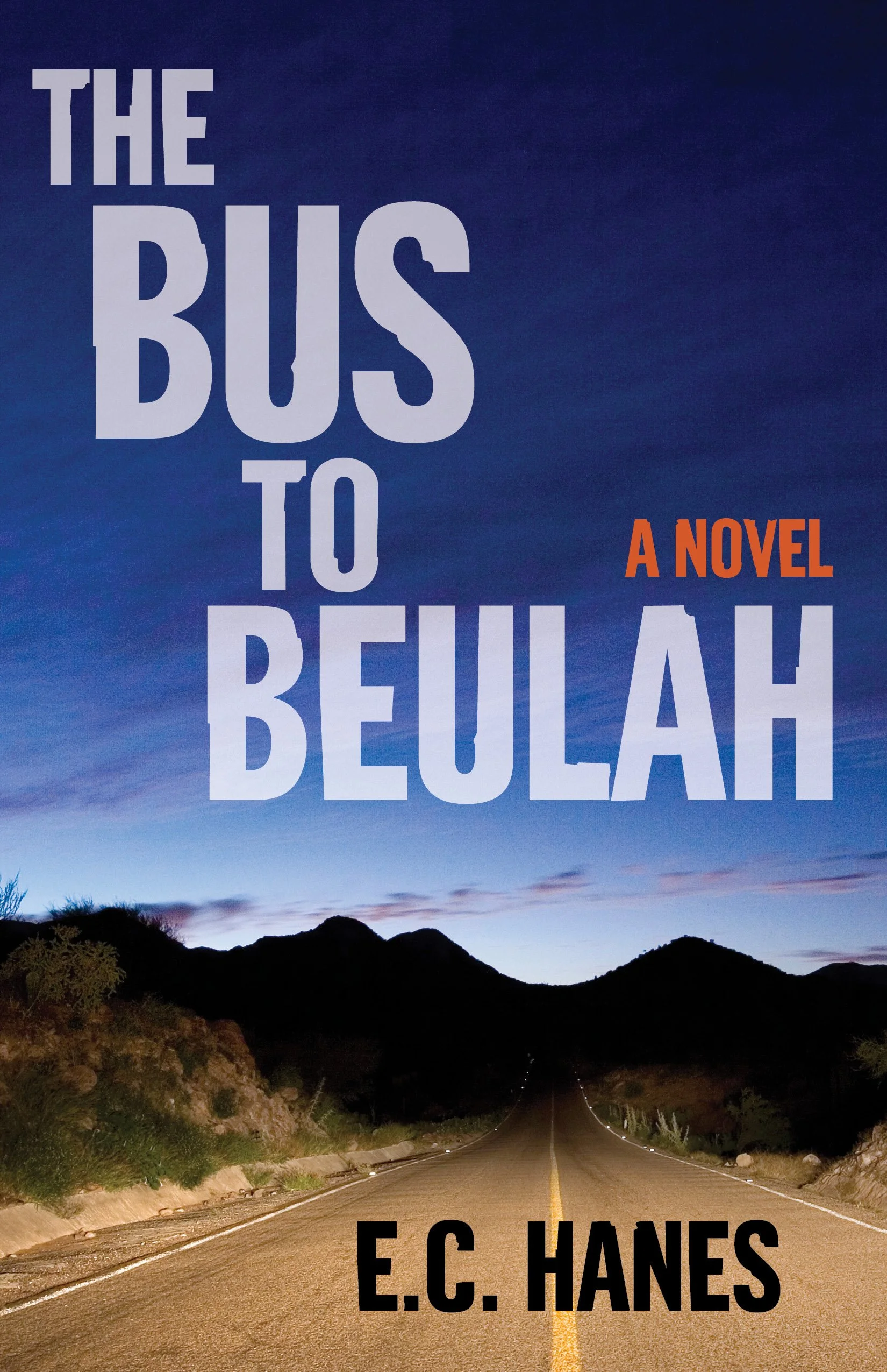 BUS TO BEULAH3.jpg