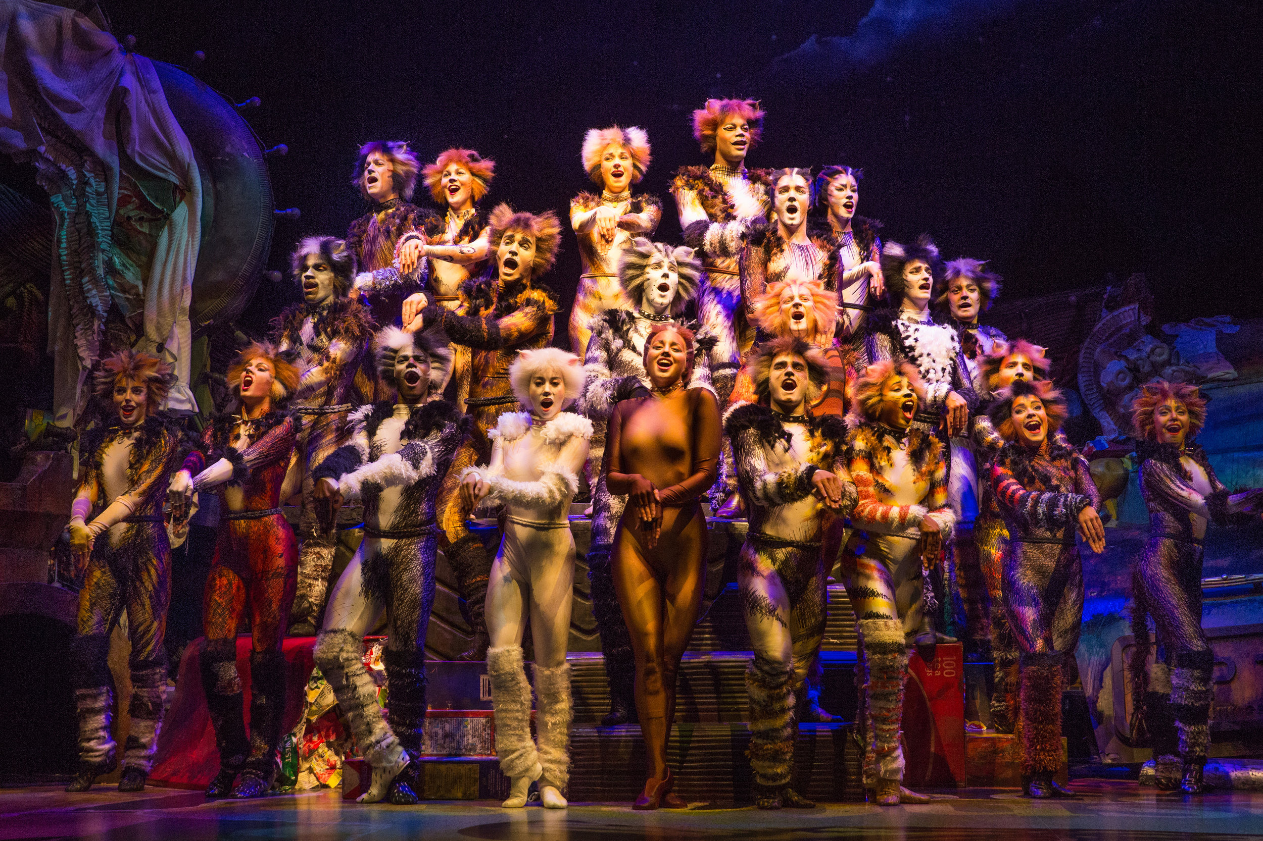 The Company of CATS on Broadway - Photo by Matthew Murphy.jpg