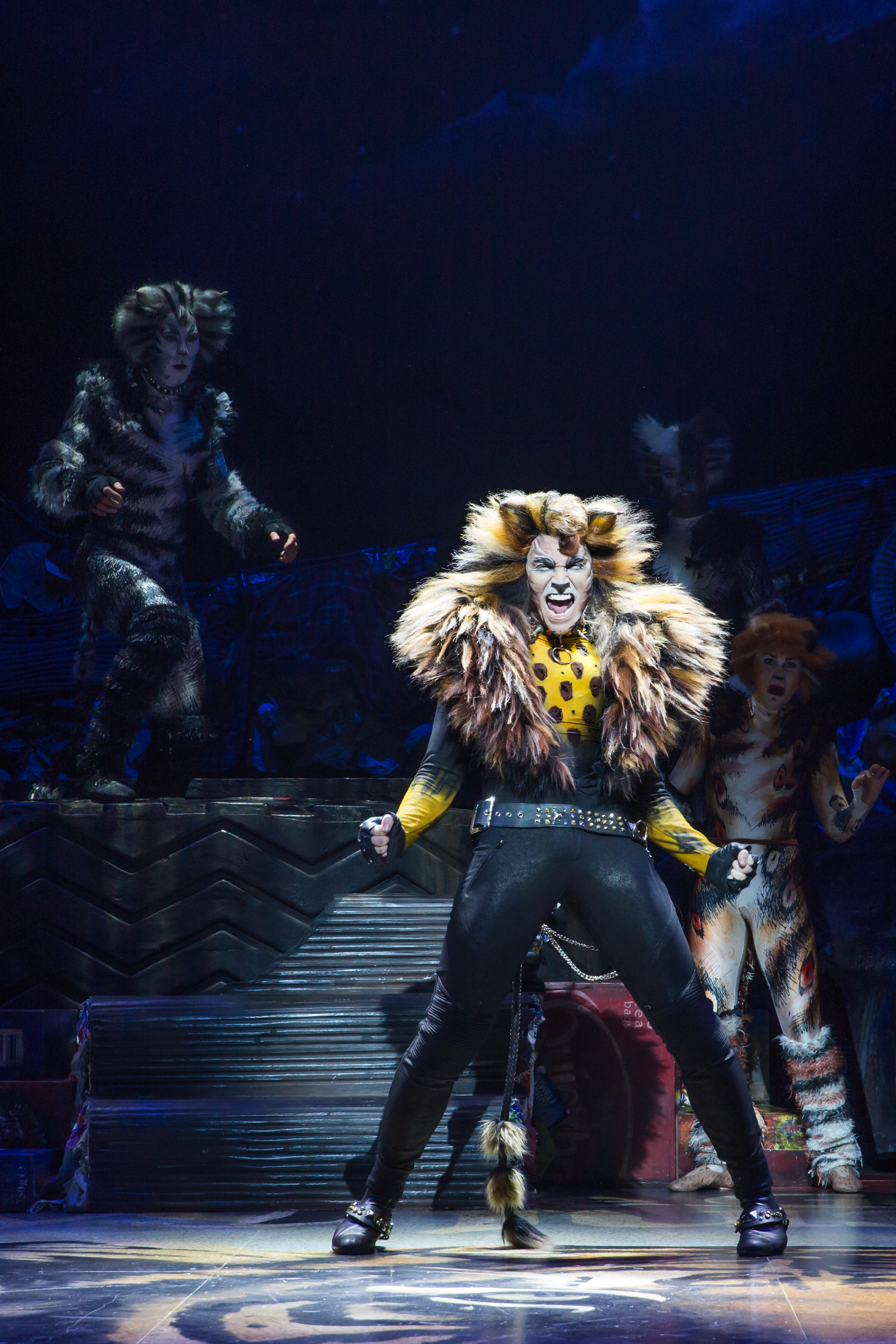 Tyler Hanes as Rum Tum Tugger in CATS on Broadway Photo by Matthew Murphy.jpg