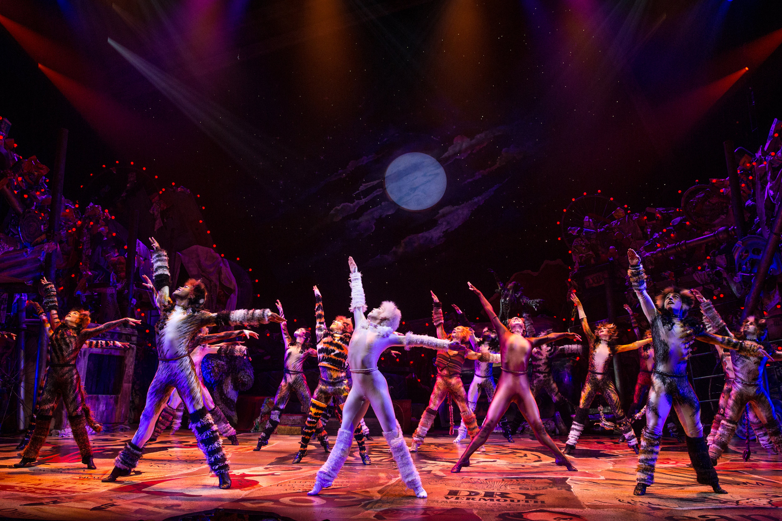 Company of CATS on Broadway Photo by Matthew Murphy.jpg