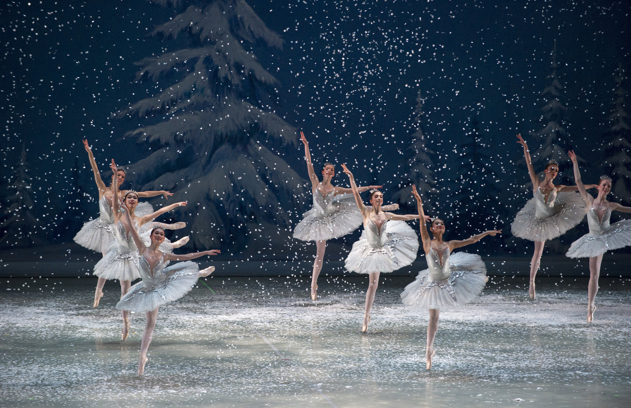 2014 - Nutcracker - RWB Company - Photo by David Cooper - 0218.jpg