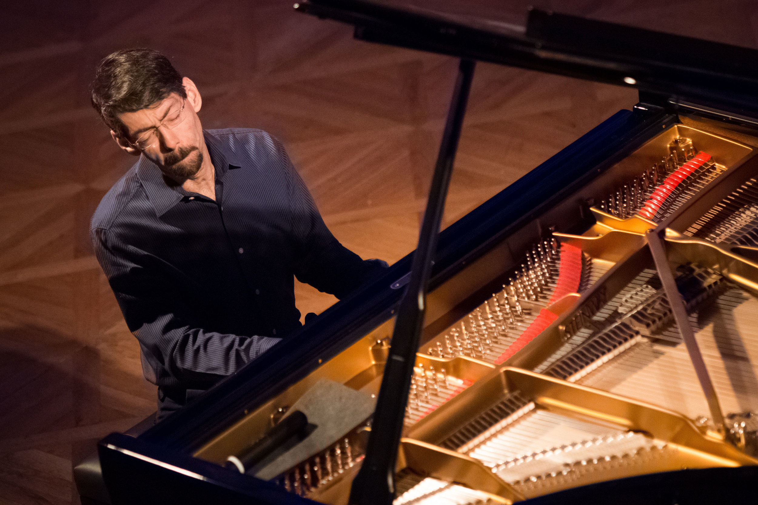 Fred-Hersch-Solo by Martin Zeman.jpg