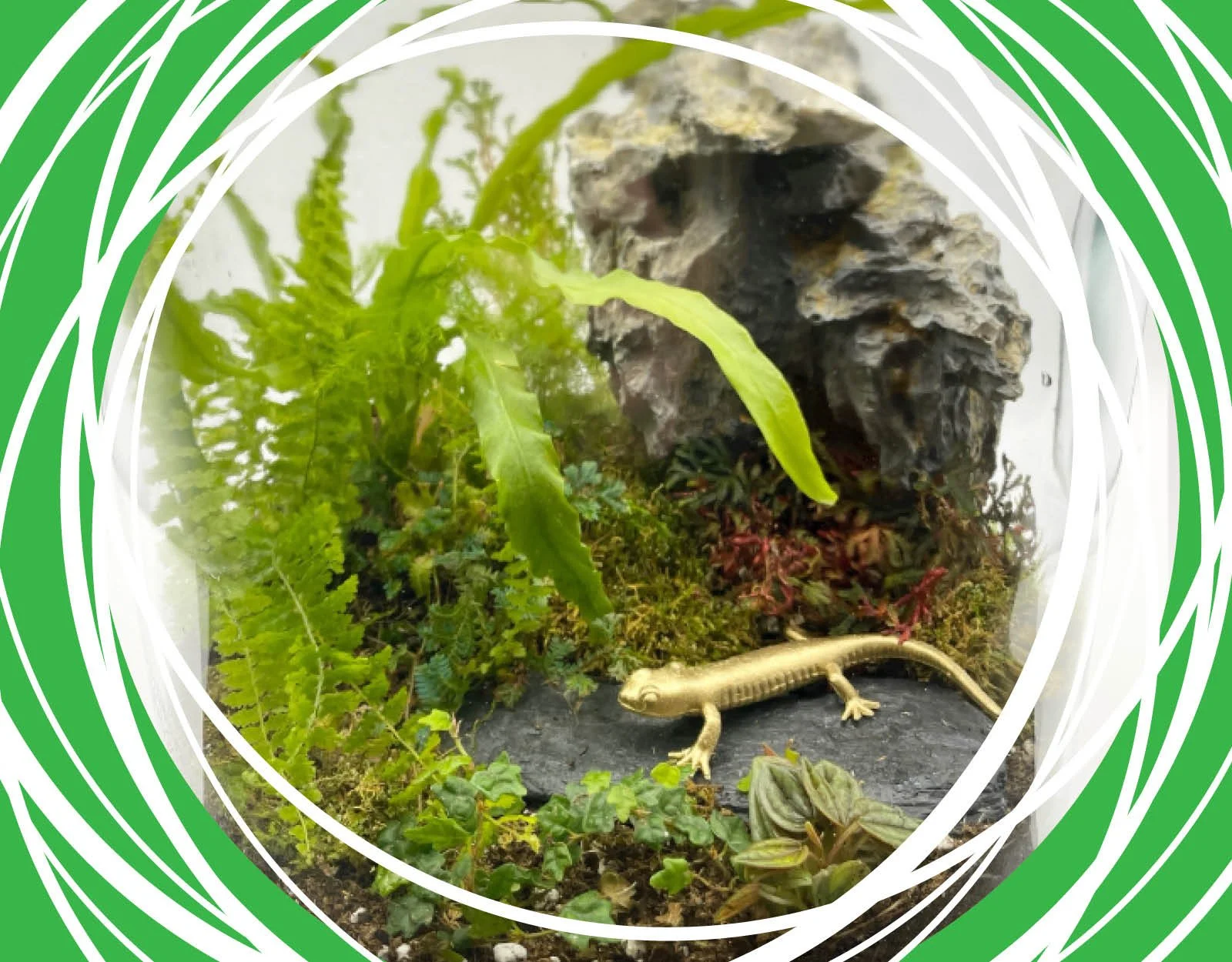 Arto_Web_Graphics_FY26_Terrarium2.jpg