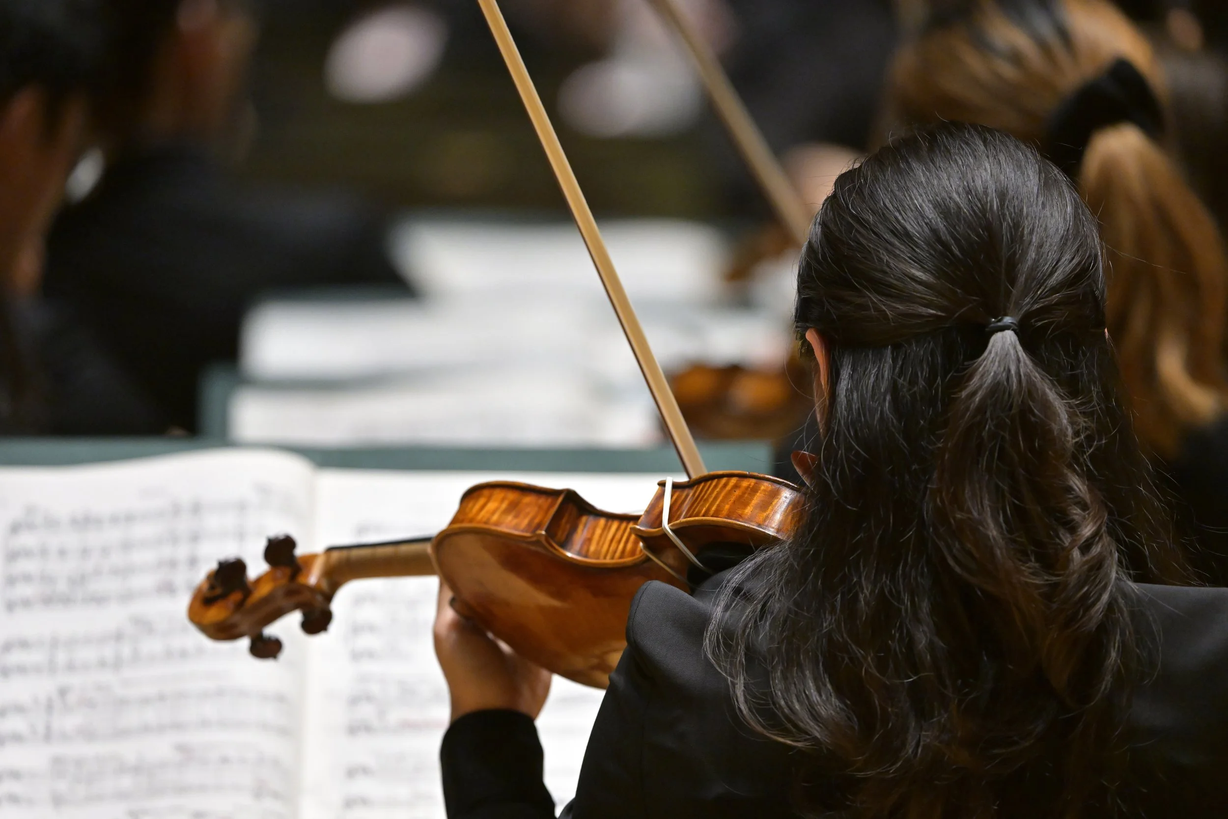 RS14368_CSO_Fall22_558.JPG