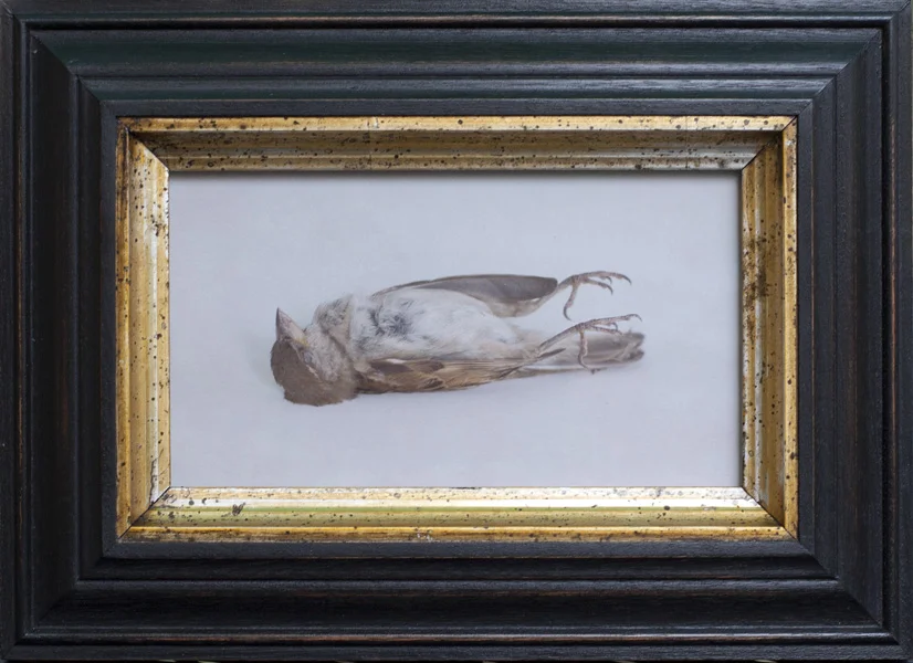 The Love Letter ( Fallen Bird ) Pigment print, artist made frame