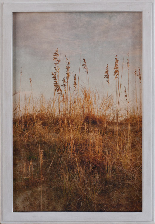 The Visits Pigment print, artist made frame