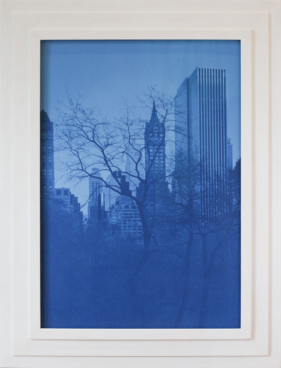 Against Nature Cyanotype, artist made frame