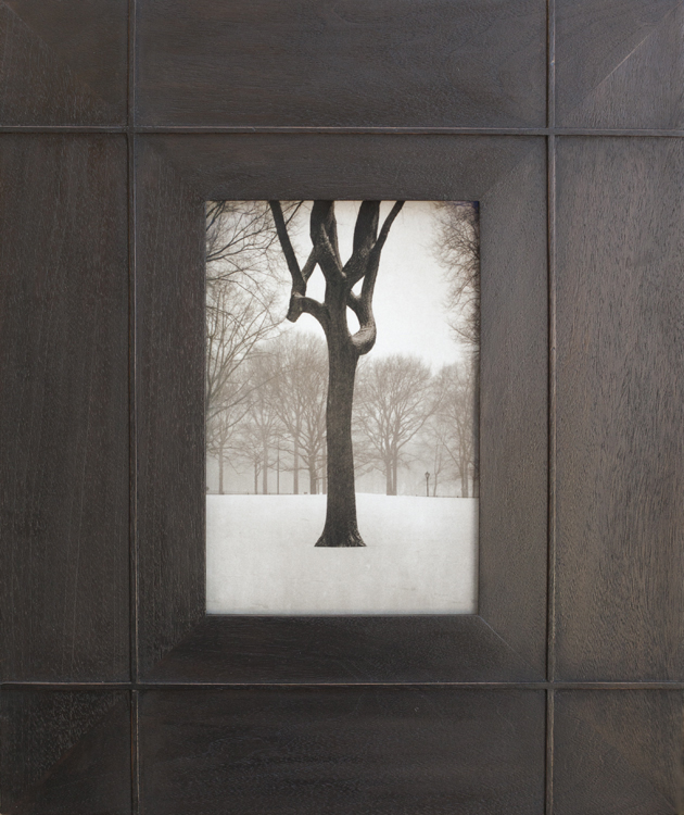 Tree, Central Park pigment print, artist made frame
