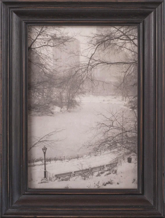 Frozen Pond, Central Park Platinum print, artist made frame