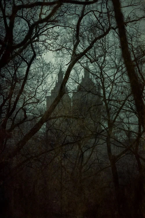 Central Park Nocturne ( San Remo ) Pigment print