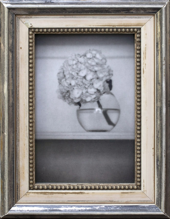 Still LIfe, Sutton Place Silver gelatin print, antique frame