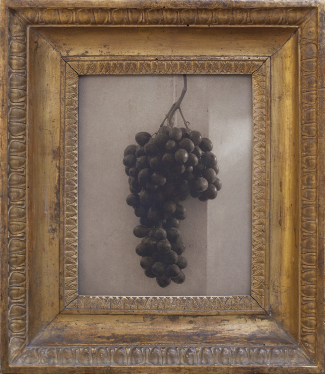 Still LIfe, Florence Pigment print, antique carved Italian frame