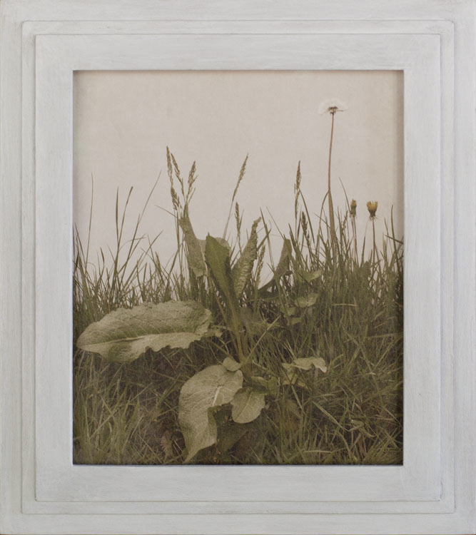 Durerzeit Pigment print, artist made frame