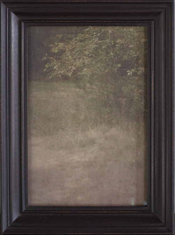 Landscape ( Nature Study ) pigment print, artist made frame