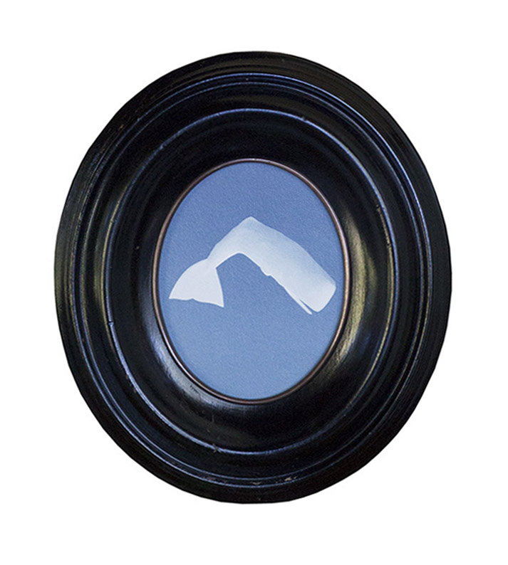 The White Whale PIgment print, antique frame