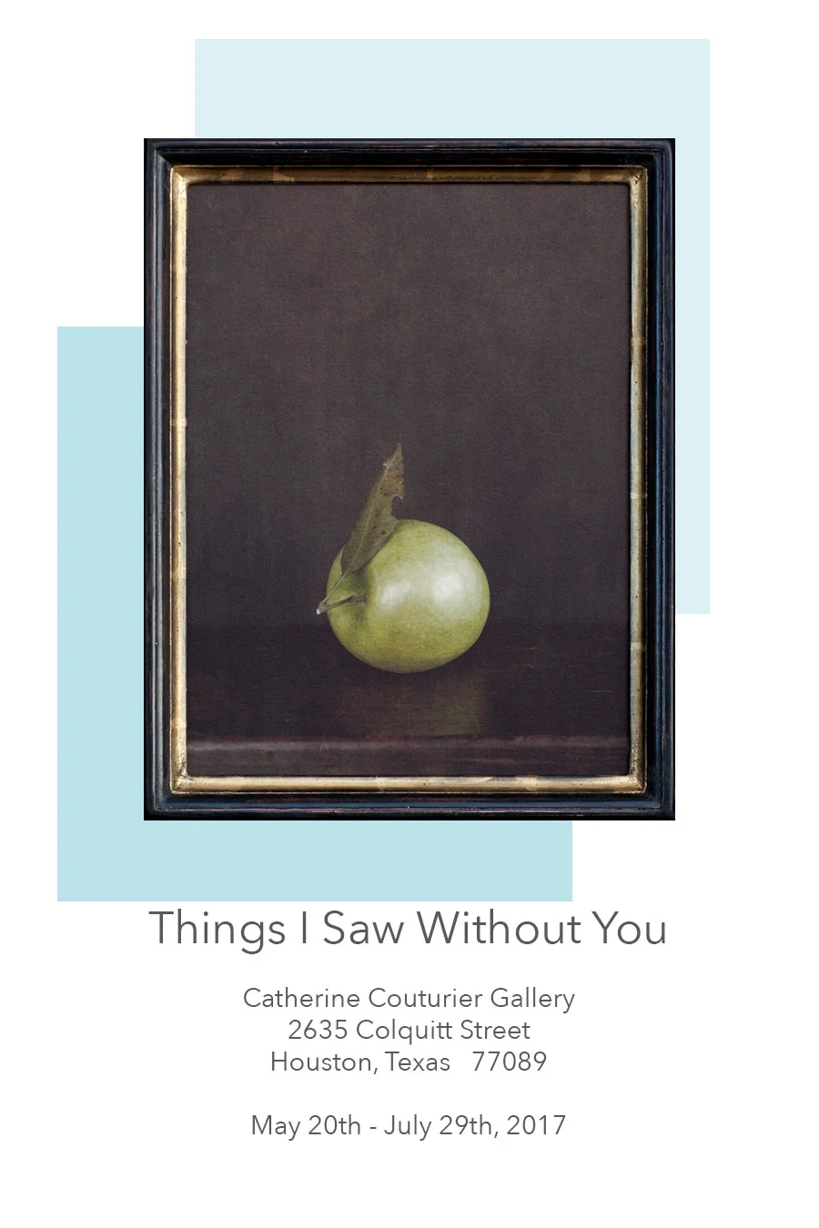 Things I Saw Without You Solo exhibition at The Catherine Couturier Gallery, Houston Texas