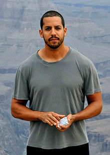 Ünlü ilüzyonist David Blaine sol koluna, Primo Levi'ye Auschwitz'de kazınan mahkum numarası 174517'yi dövme olarak yaptırmıştır.