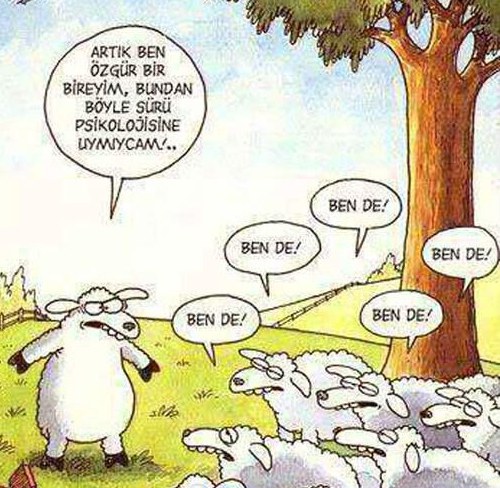 by Selçuk Erdem