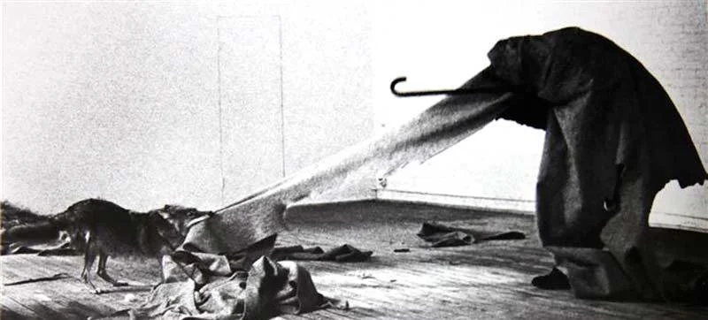 Joseph Beuys - Ben Amerika'yı Seviyorum, Amerika da Beni seviyor (1974) Beuys performans için Almanya'dan New York'a uçar. uçaktan direkt olarak bir ambulansa alınır ve sedyeyle performansın yapılacağı galeriye gider. Galeride onu bir kır kurdu/coyote beklemektedir. 3 tam günü galeride bu hayvanla geçirir. Kır kurdu kendisine zarar vermesin diye etrafını keçeyle sarmıştır, üçüncü gün kır kurduyla araları da gayet iyidir. Performans bitince yine ambulansla hava alanına gider. Beuys, New Yorklu sanatçılar, sanat çevreleri, gazeteciler, entelijansiya yerine sadece bir çakalla tebelleş olup ayağını ABD'ye değdirmeden geri dönerek beyaz Amerika'nın tamamını protesto eder. Ayrıca kır kurdu, amerikan yerlileri için kutsaldır; iki dünyayla iletişim kurabildiklerine inanılır. Beyaz adam geldikten sonra kır kurtlarını çakallar gibi kötü sıfatlarla andı ve büyük bir katliamlara tabii tuttu. Şaman değerlere sahip Beuys beyazların statüsü elinden aldığı kır kurtlarını böylelikle onore etmiş oldu. 