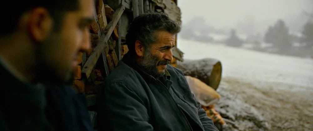 ahlat ağacı 5.jpg
