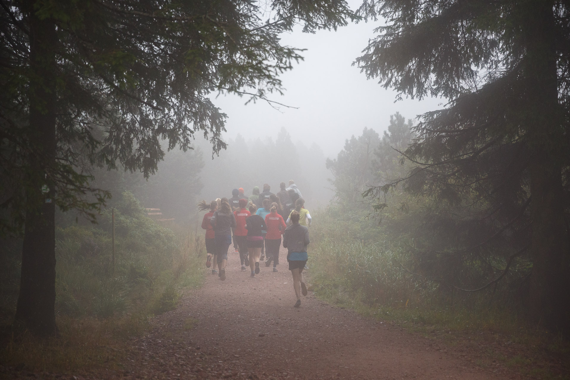 Und rein in den Nebel.