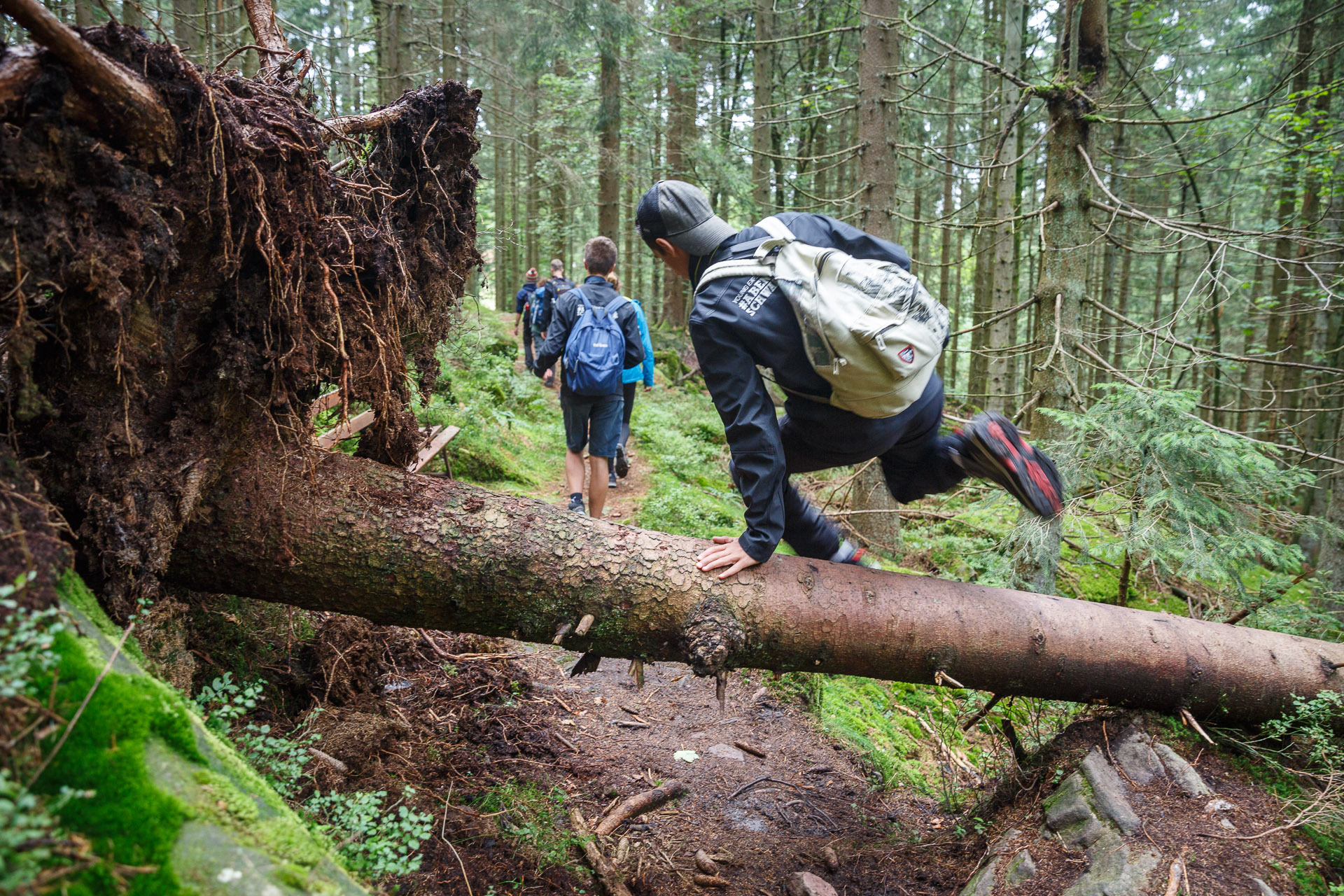 Der Wald nimmt nicht immer Rücksicht auf Wege.