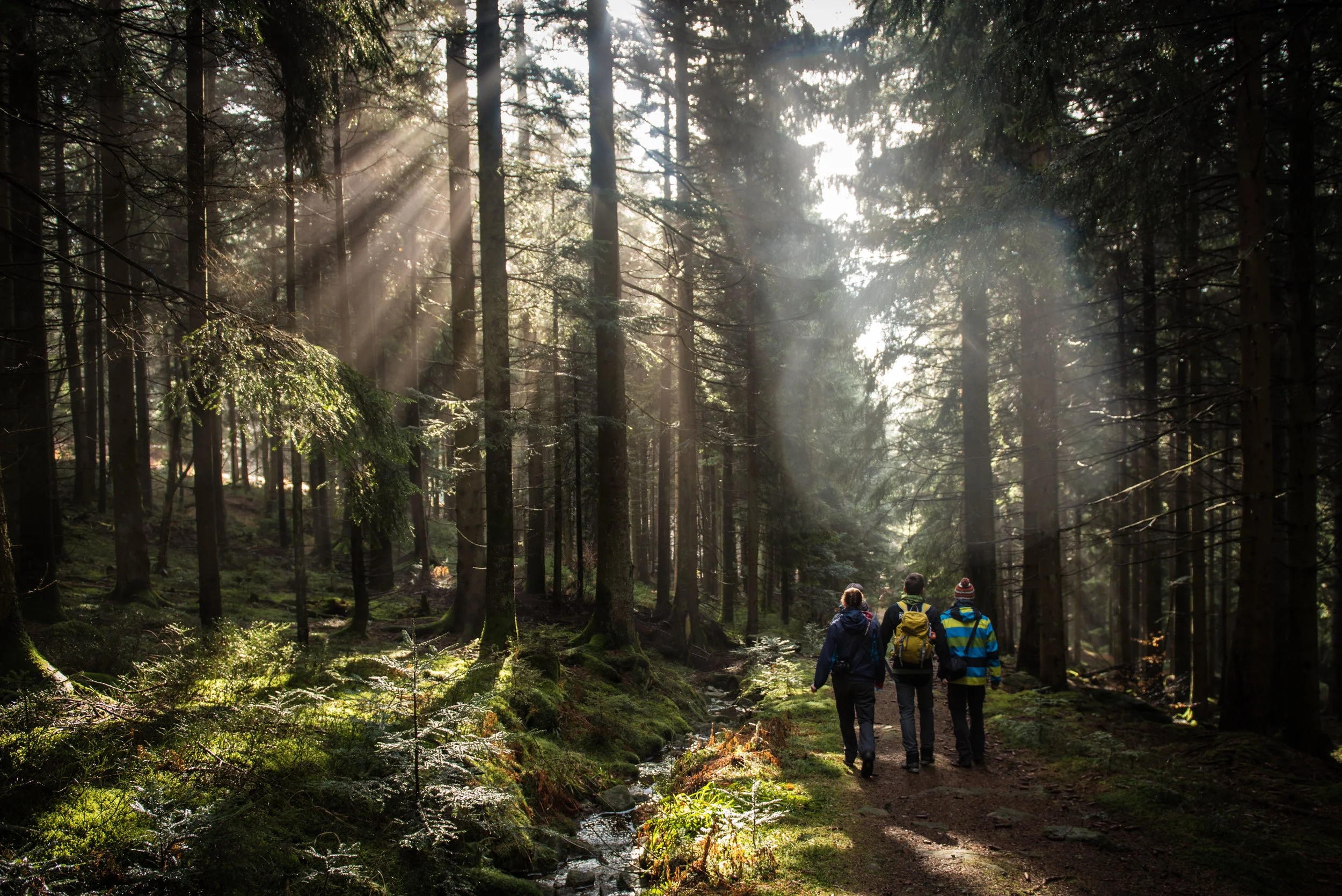 Im Nordteil des Nationalparks.