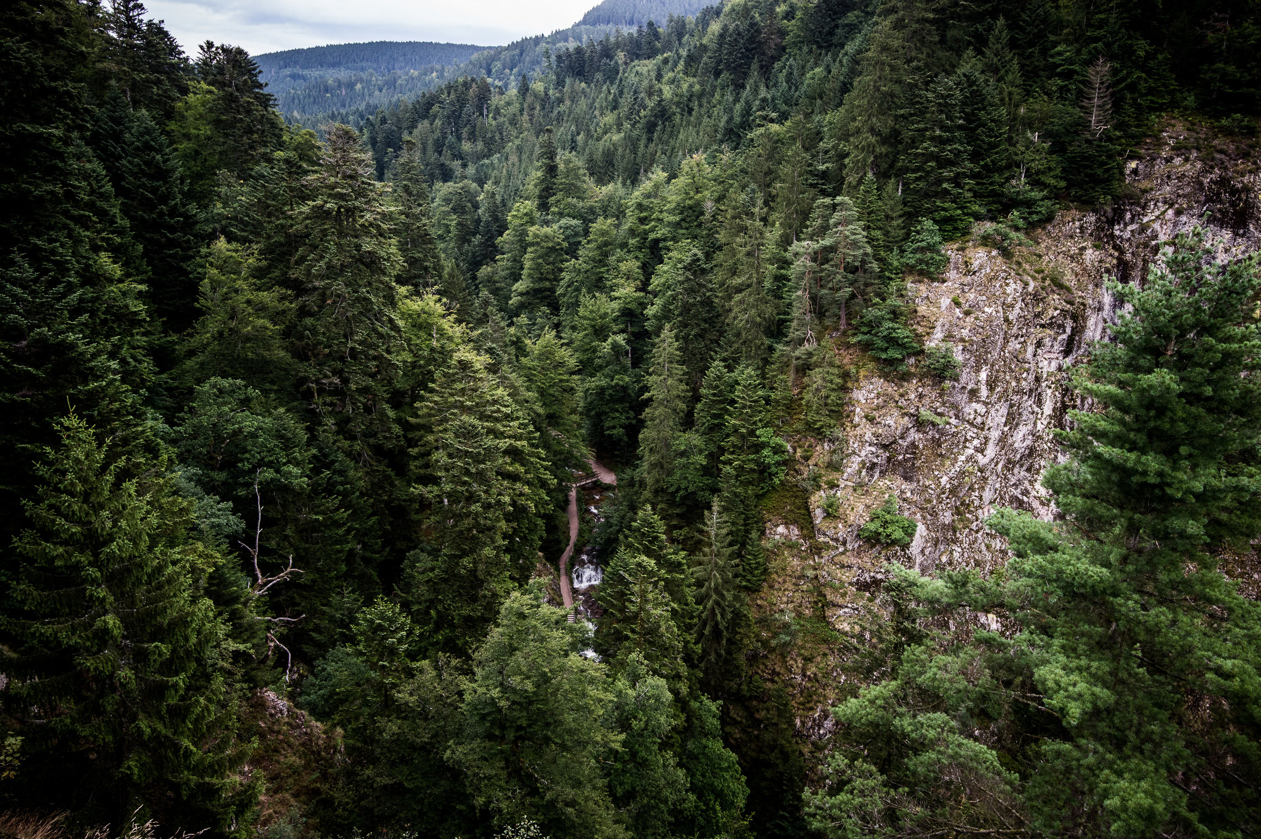 Aussicht aufs Lierbachtal.