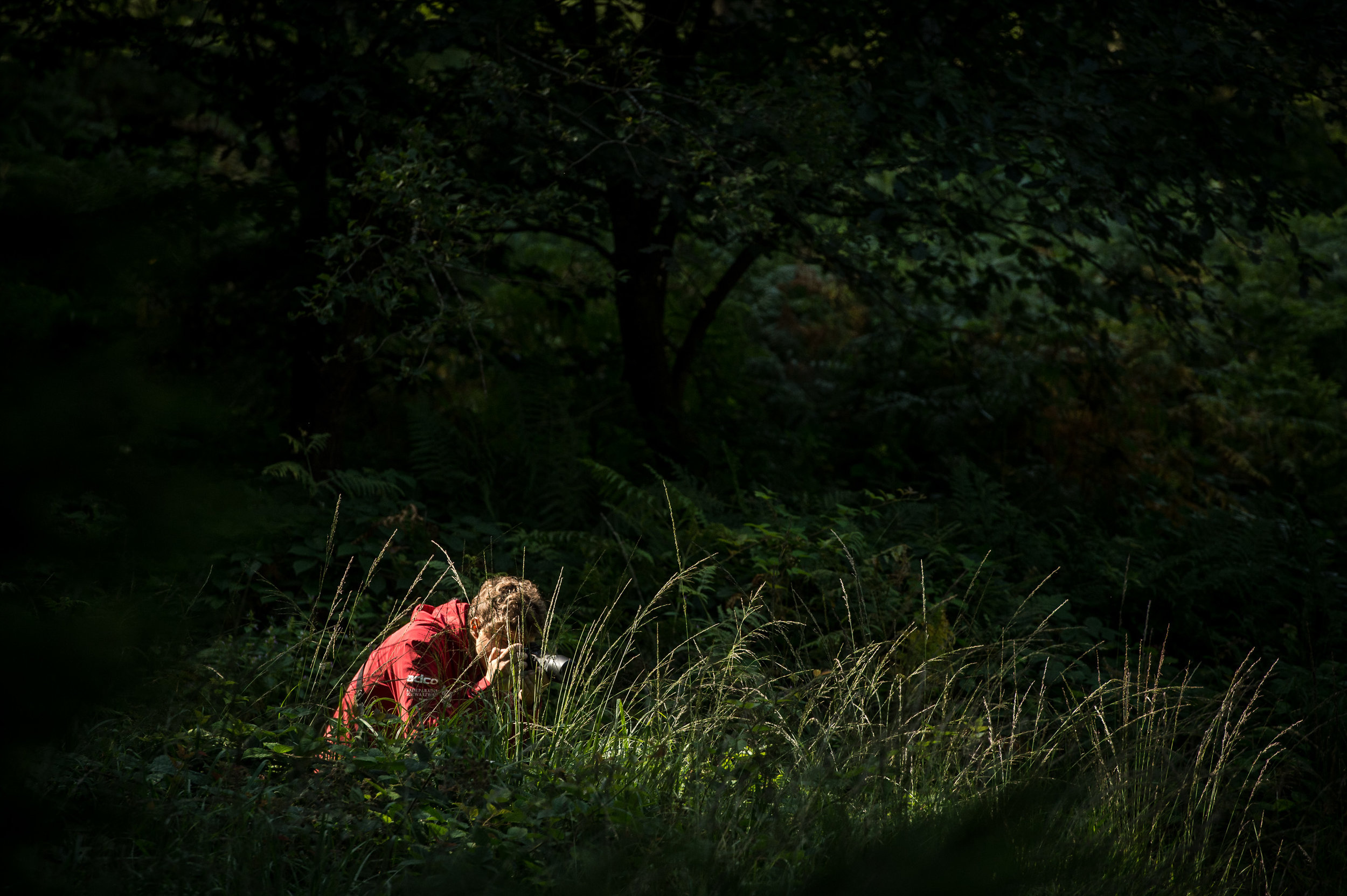 Ein Young Explorer in seinem natürlich Habitat.