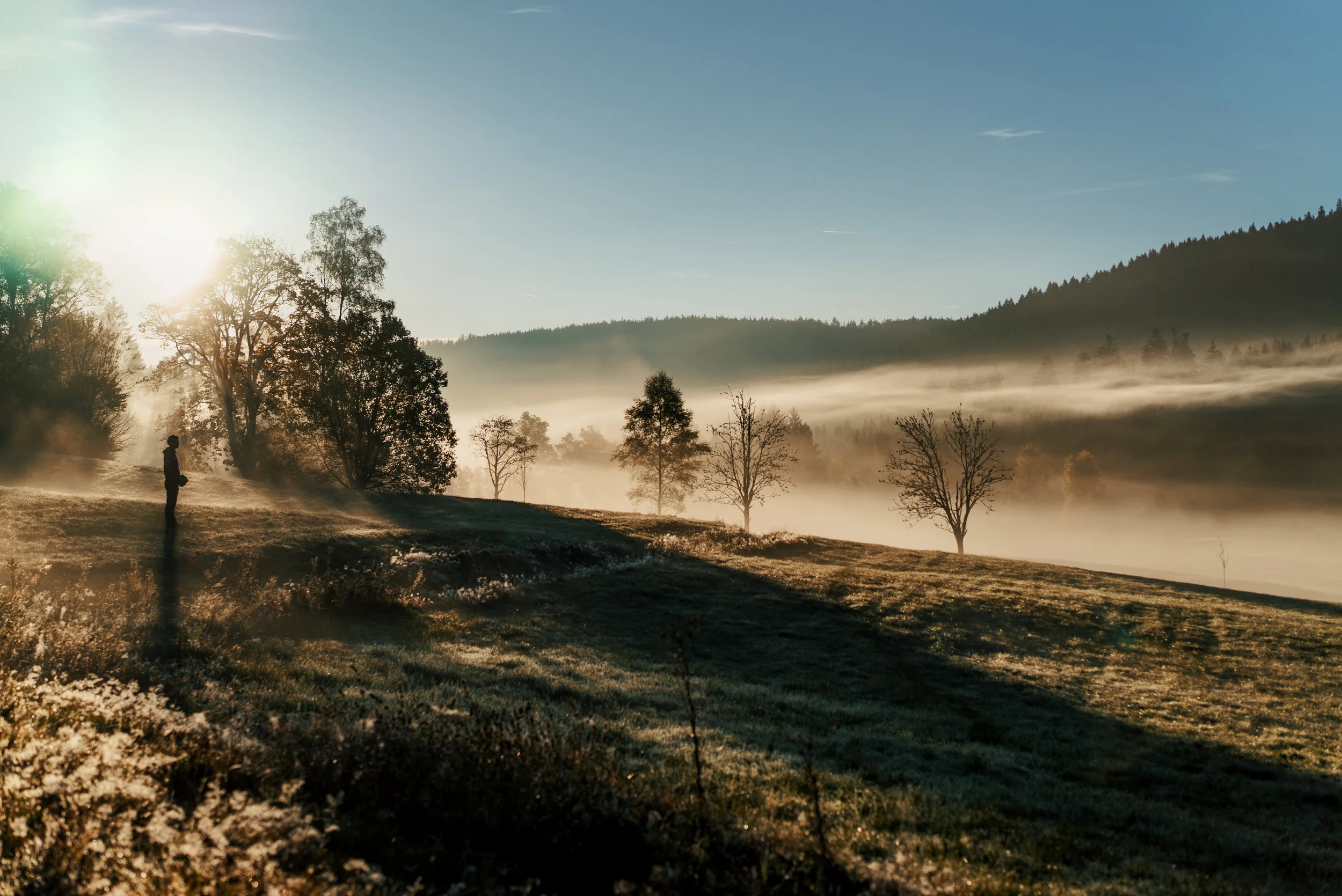 Nachtreffen - Schwarzwaldzeit