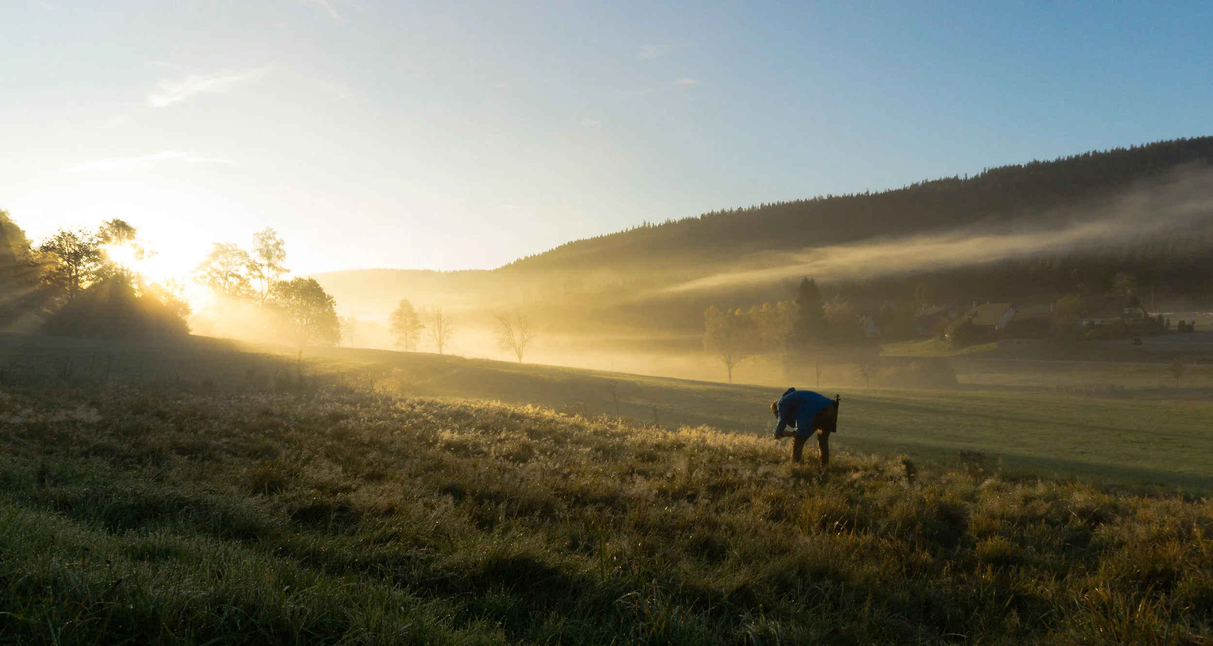 Morgendliche Fotografie. &nbsp; &nbsp;&nbsp;Foto: Simon Fuhrmann