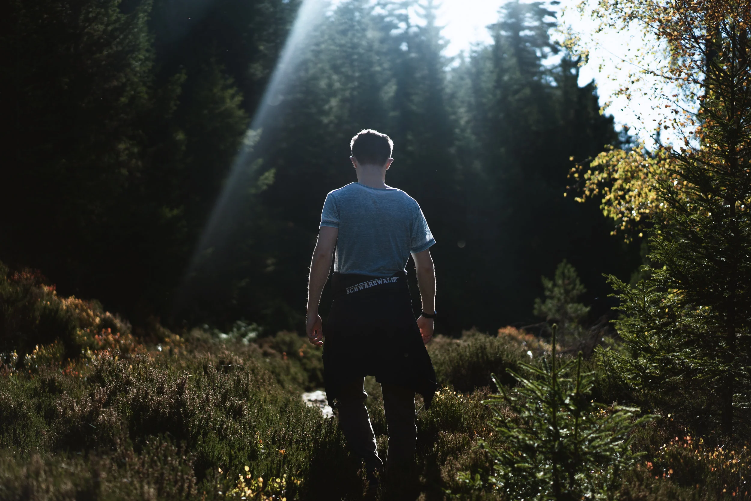 Unterwegs im Nationalpark.&nbsp; &nbsp; &nbsp;&nbsp;Foto: David Riesbeck
