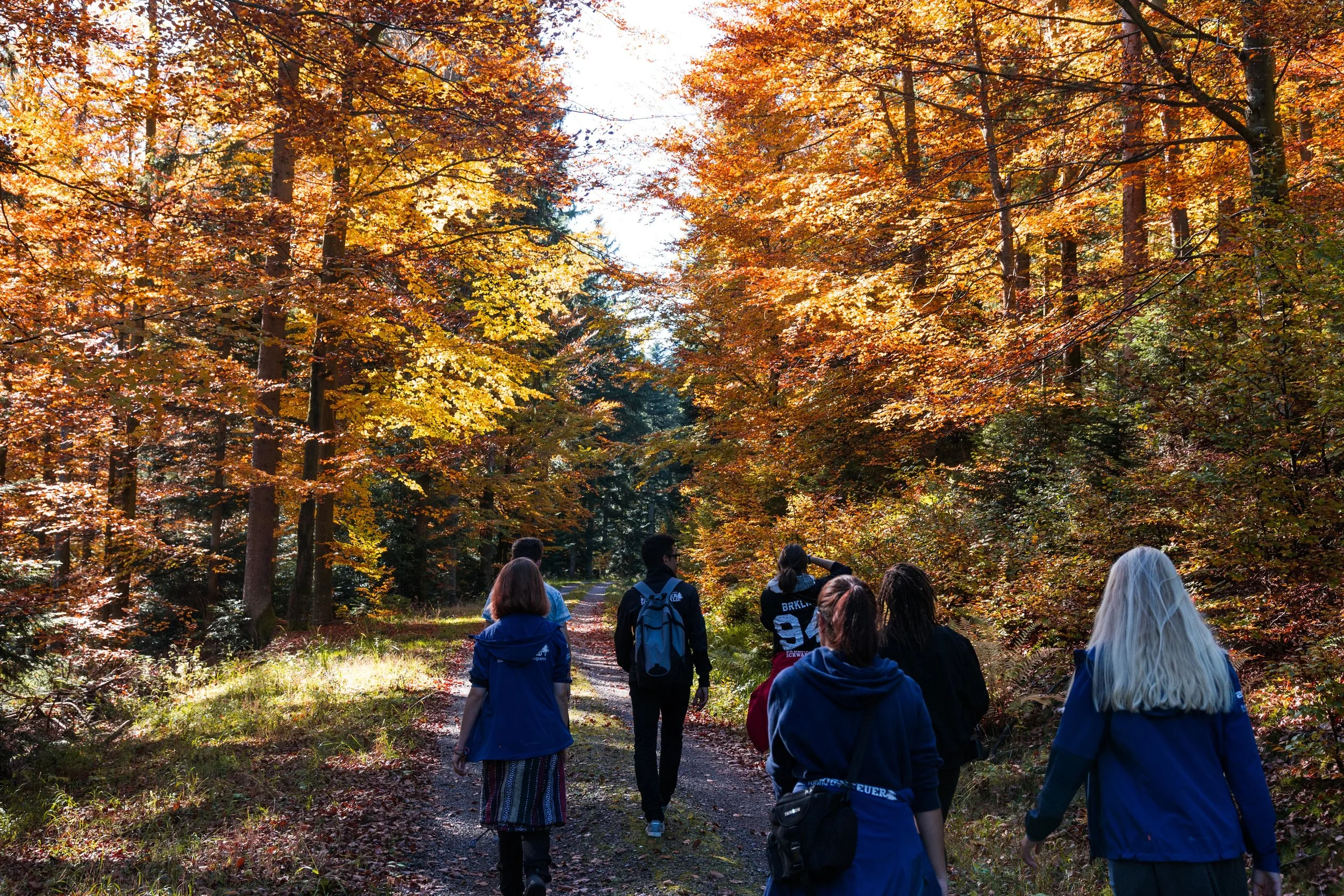 Herbstwanderung.&nbsp; &nbsp;&nbsp;Foto: Niklas Koch