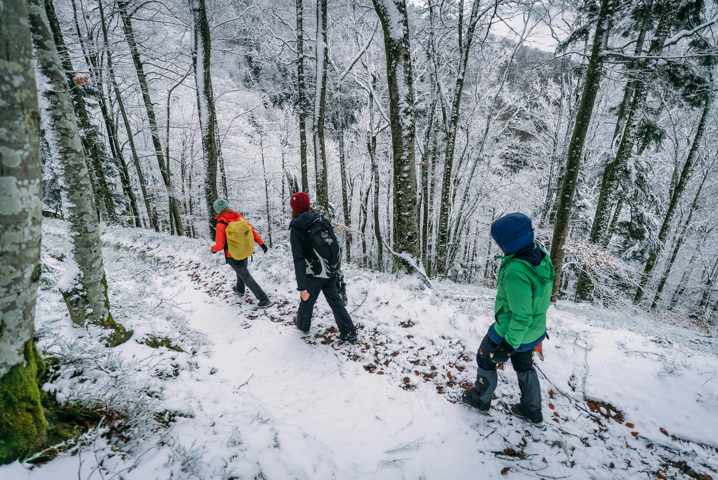 Nachtreffen - Winter im Südschwarzwald